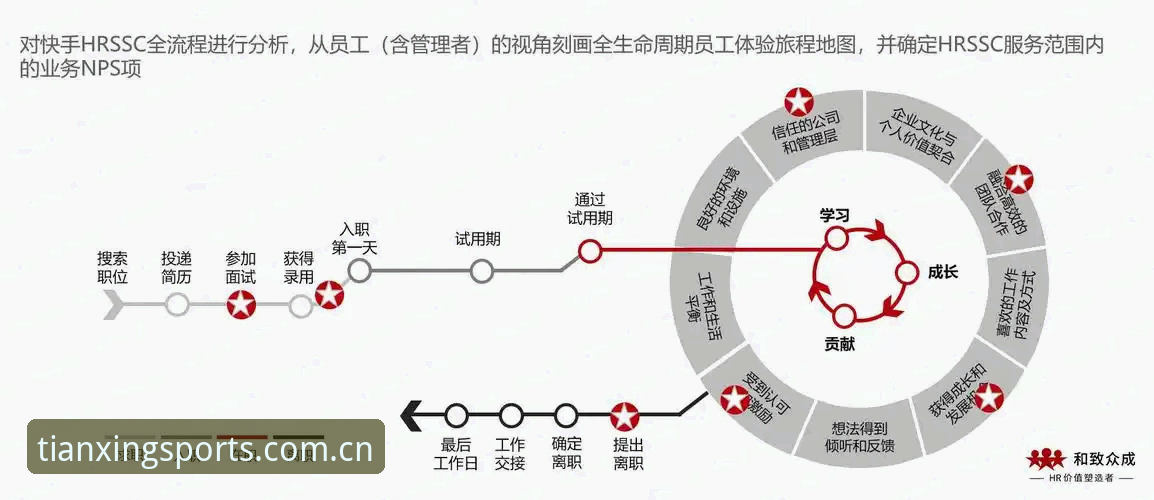天行体育数据更新下载全流程深度分析：从版本迭代到用户体验