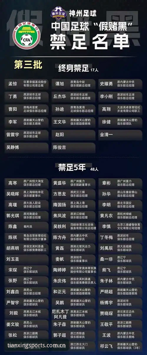 资深用户分享：中国足协第三批禁足名单深度解析，天行体育平台带你洞察足坛整顿